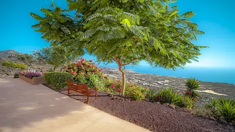 Coastal views from Villa Monaco Adeje Tenerife